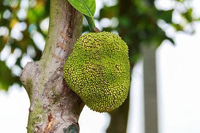 《最终幻想7：重生》将于2024年2月29日发售